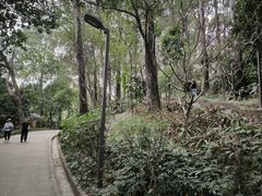 -南岗山公园