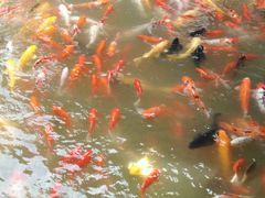 -泰安地下龙宫景区