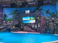 -珠海长隆海洋王国