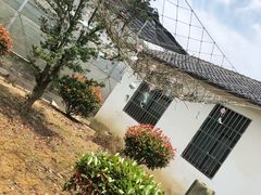 -呼吸森林·生态农庄农家乐私房菜