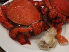 -顺德美的万豪酒店·自助餐·贡厨