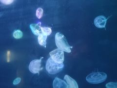 -杭州海底世界