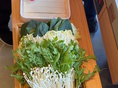 -蝎王府羊蝎子(西直门店)