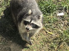 -秦皇岛野生动物园
