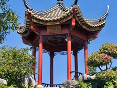 -顺峰山公园