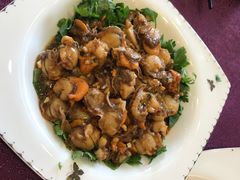 -燕春楼(海河华鼎店)