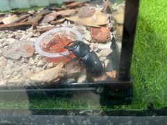 -上海昆虫博物馆