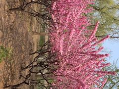 -中华世纪坛-停车场