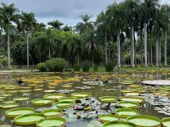 -中国科学院西双版纳热带植物园