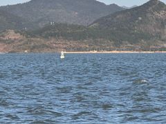 -东钱湖旅游度假区