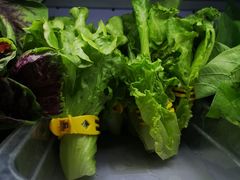 -皆道拌麻辣烫·麻辣拌