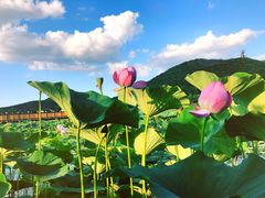 -六鼎山文化旅游区