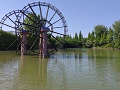 -泗洪洪泽湖湿地景区