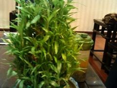 -新聚丰菜馆(太监弄店)