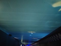 -白鹤梁水下博物馆