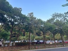 -红花湖景区