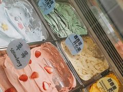 -Mint Gelato(二厂店)