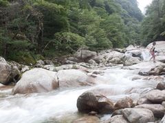 -青峰峡国家森林公园