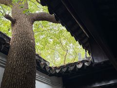 -苏州文庙(姑苏区)