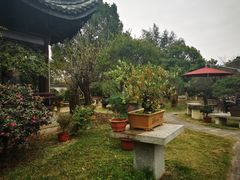 -万景茶庄·台州菜
