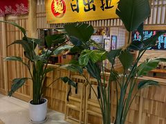 -日出拉面(望京店)