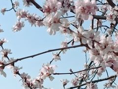 -北京奥林匹克公园