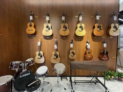 -知音艺术教育培训·钢琴培训·音乐培训(河西金鹰世界校区)