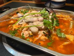 -聚味罗记大排檔·鲜鱼杂·甲鱼煲•龙虾馆(科学馆店)