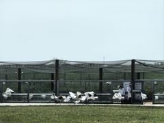 -盐城丹顶鹤湿地生态旅游区