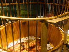 -胡桃里音乐酒馆(环亚凯瑟琳广场店)