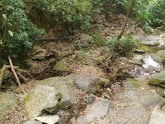 -南丹山森林王国