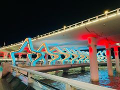 -演武大桥观景平台