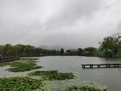 -长兴太湖图影湿地文化园