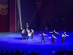 -珠海横琴长隆《卡卡虎奇遇记》