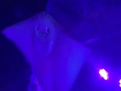 -沈阳海洋探索中心