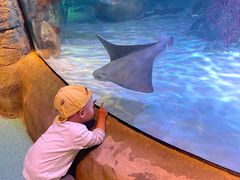 -沈阳海洋探索中心