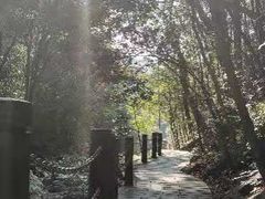 -九龙江国家森林公园