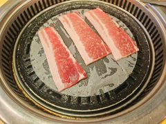 -韩俊焰烤肉自助餐(增城万达广场店)