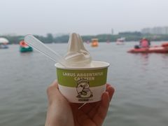 -大兴滨河森林公园
