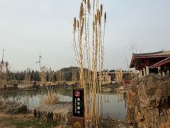 -洛阳古墓博物馆