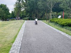 -上海山野camping·户外天幕烧烤·团建拓展营地