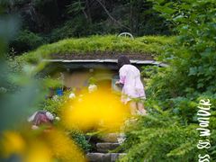 -幽岚山·童话森林