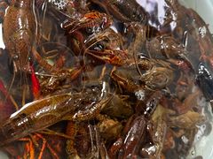 小龙虾-马王堆海鲜水产市场