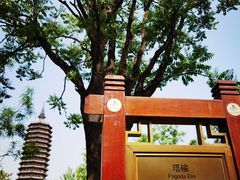 -西海子公园