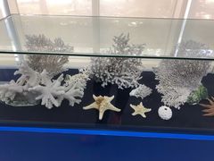 -上海海洋大学鱼文化博物馆(军工路校区)