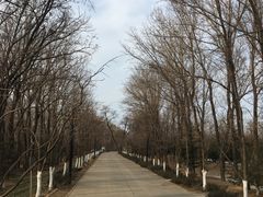 -和园景逸大酒店朗月汤泉