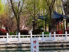 -济南大明湖景区