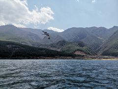 -丽江泸沽湖景区