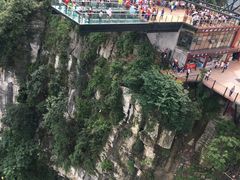 -梦幻奥陶纪景区