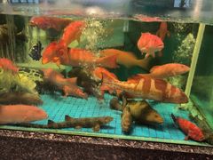 -聚福宝合苑食府(南头镇店)